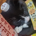 '숙취 새치 예요' 글에 포함된 이미지