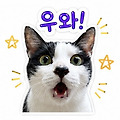 '' 글에 포함된 이미지