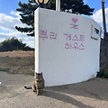 '뿌리까지 온 씩씩한밤' 글에 포함된 이미지