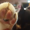 '하이파이브' 글에 포함된 이미지
