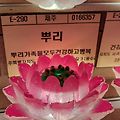'뿌리의 모든분들을 위' 글에 포함된 이미지