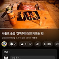 '꾸준히 올라오는 술멍' 글에 포함된 이미지