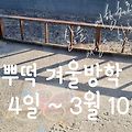 '휴가로인해오늘의운세' 글에 포함된 이미지