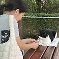 '염창동 고양이' 글에 포함된 이미지