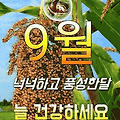 '추석이 들어있는 9월' 글에 포함된 이미지