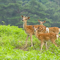 '봄과 함께 가정에 건' 글에 포함된 이미지