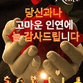 댓글 첨부 이미지