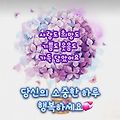 댓글 첨부 이미지