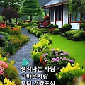 댓글 첨부 이미지