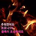 댓글 첨부 이미지