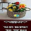 댓글 첨부 이미지