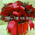 댓글 첨부 이미지