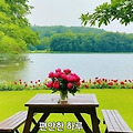 댓글 첨부 이미지