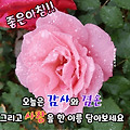 댓글 첨부 이미지