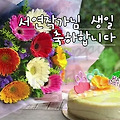 댓글 첨부 이미지
