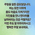 댓글 첨부 이미지