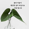 댓글 첨부 이미지