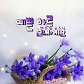 댓글 첨부 이미지