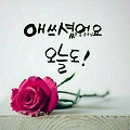 댓글 첨부 이미지