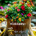 댓글 첨부 이미지