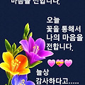 댓글 첨부 이미지