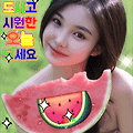 댓글 첨부 이미지