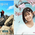 댓글 첨부 이미지