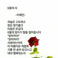 댓글 첨부 이미지
