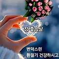 댓글 첨부 이미지