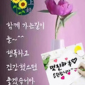댓글 첨부 이미지