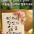 댓글 첨부 이미지