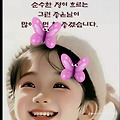 댓글 첨부 이미지