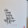 댓글 첨부 이미지