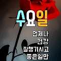 댓글 첨부 이미지