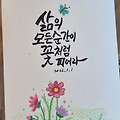 댓글 첨부 이미지