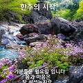 댓글 첨부 이미지