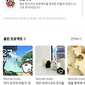 댓글 첨부 이미지