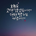 댓글 첨부 이미지