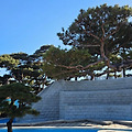 '추워요.' 글에 포함된 이미지