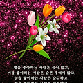 '또 한주가 시작되는 ' 글에 포함된 이미지