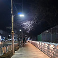'추운 날씨입니다.' 글에 포함된 이미지