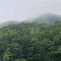 '흐린 날씨입니다. ' 글에 포함된 이미지