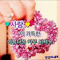 '한해의 절반을 참 쉽' 글에 포함된 이미지