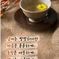 '11월도 마지막 목요일' 글에 포함된 이미지