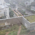 '비가 와요.' 글에 포함된 이미지
