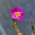 '건강하세요. ' 글에 포함된 이미지
