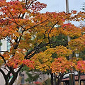'건강하세요.' 글에 포함된 이미지