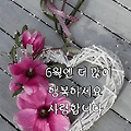 '계절은 푸르름을 토해' 글에 포함된 이미지
