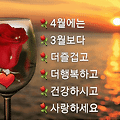 '완전한 봄으로 접어든' 글에 포함된 이미지