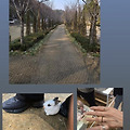 댓글 첨부 이미지